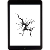 iPad Mini 3 Screen and LCD Repair